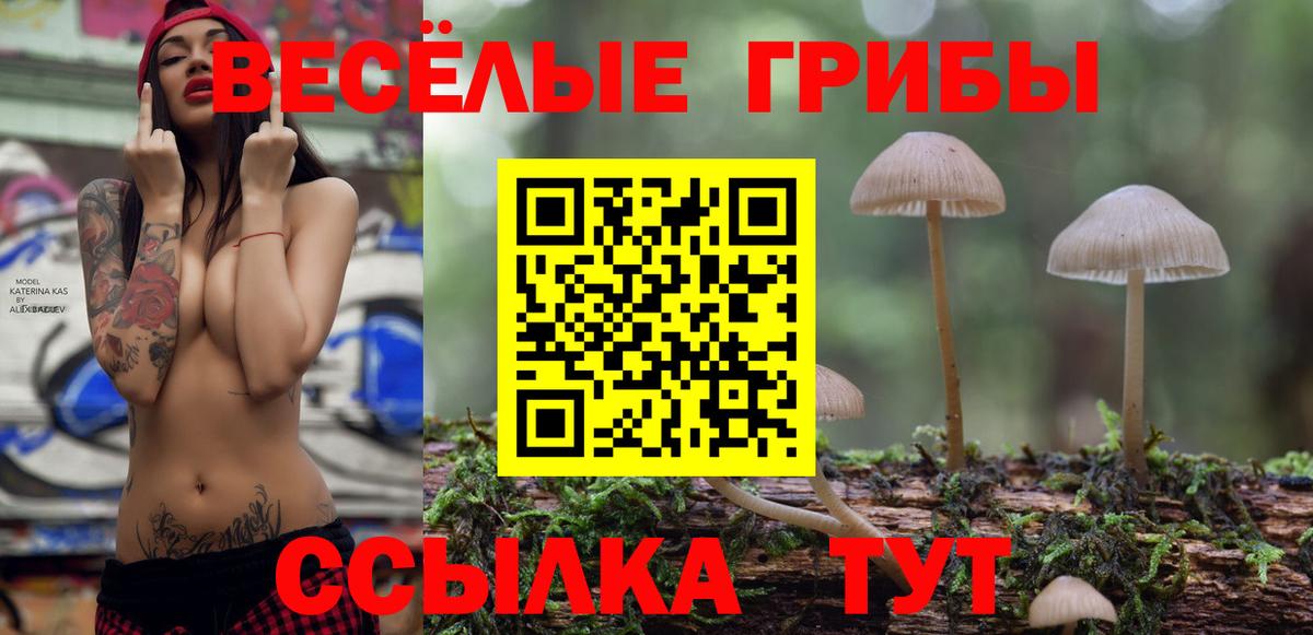 Псилоцибиновые грибы Magic Shrooms  Вход с VPN  Крымск  Галлюциногенные грибы Cubensis 