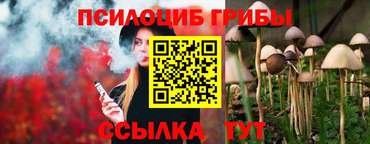 Псилоцибиновые грибы MAGIC MUSHROOMS Крымск